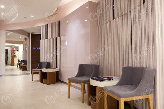 THE Plastic Surgery environment