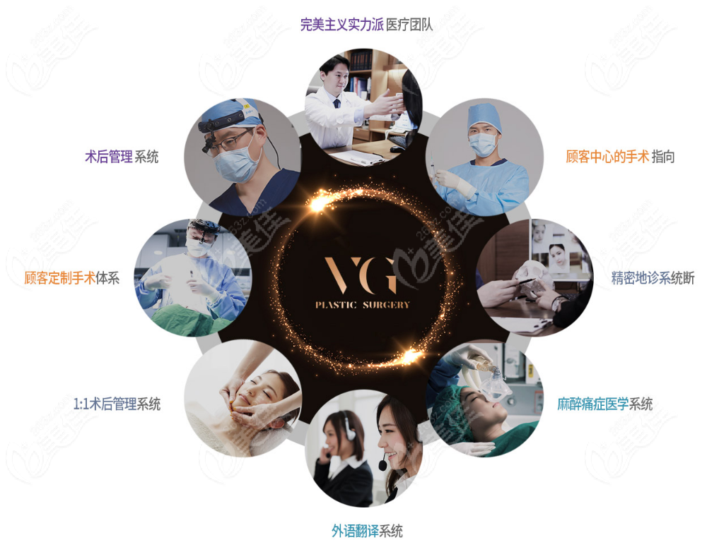 Competencies of VG Plastic Surgery