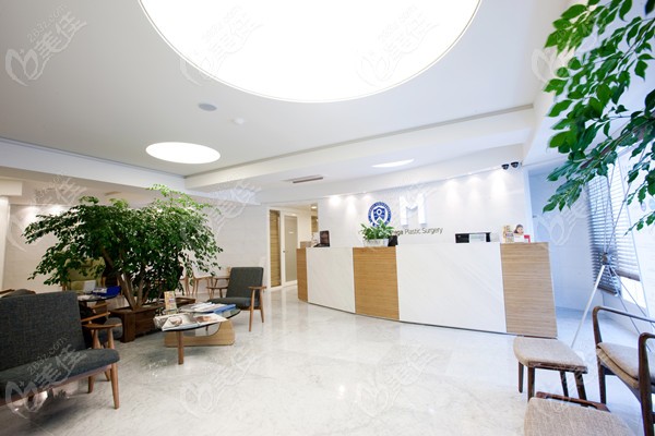 DM Plastic Surgery