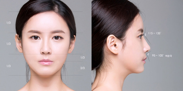 A Guide to Getting a Nose Job