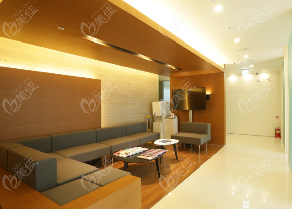 Introduction to View Plastic Surgery: