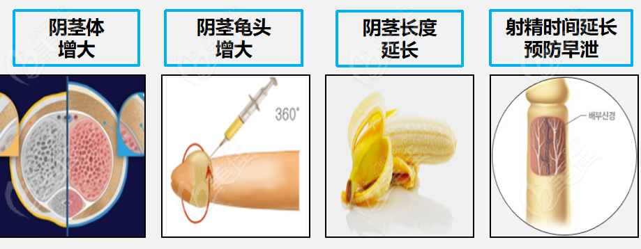 Male Genital Plastic Surgery Hospitals